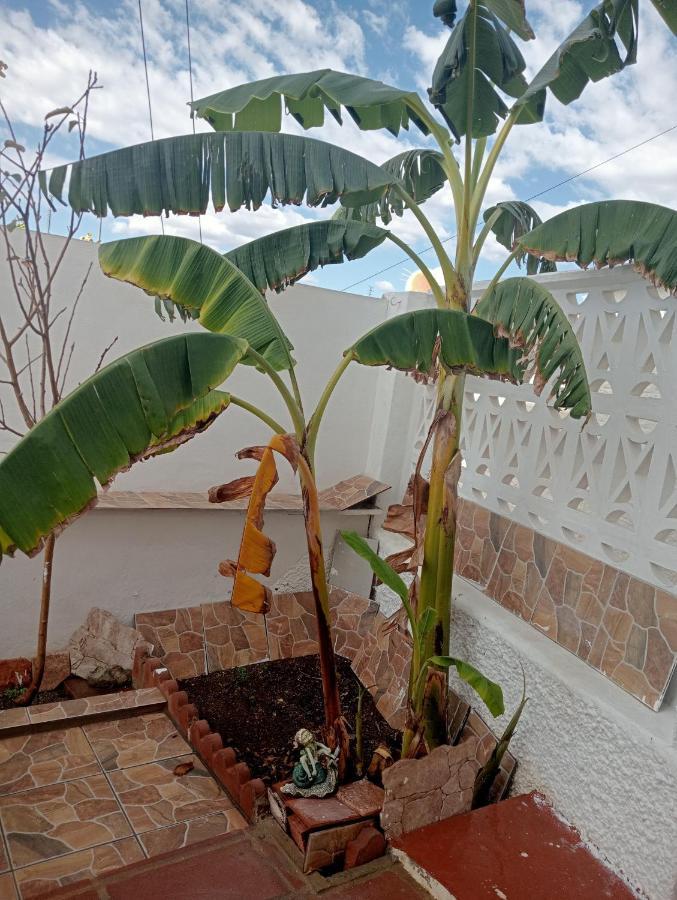 Apartamento Paraiso Del Sol เบนาคาราเฟ ภายนอก รูปภาพ